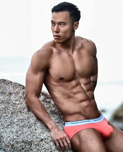 Private Structure สินค้าแบ่งขาย 1ตัวจากรุ่น 5lements Mini Brief 3pcs Pack - Earth [4395]